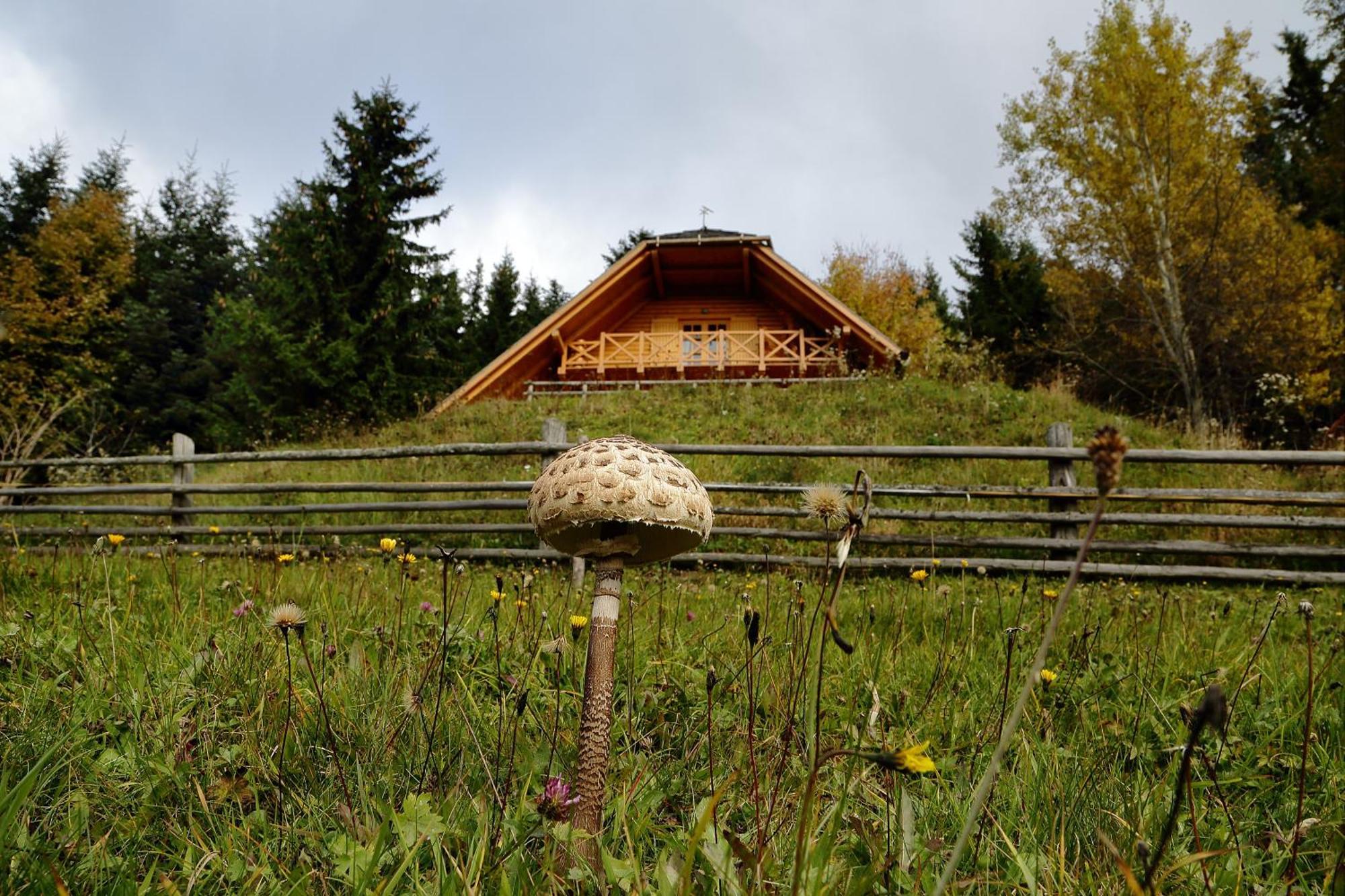 Charming Chalet Rogla Hudinja Екстер'єр фото